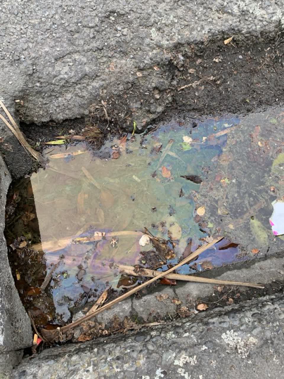 The photograph attached to this wastewater/stormwater report