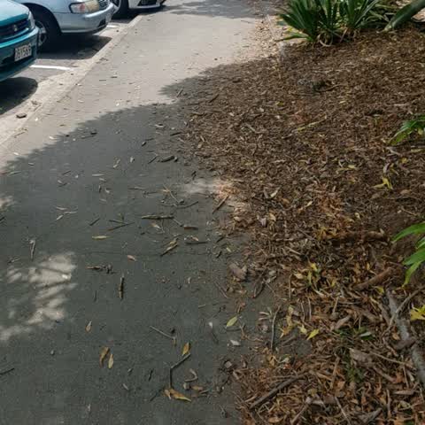 Roading/Streets — a report photo