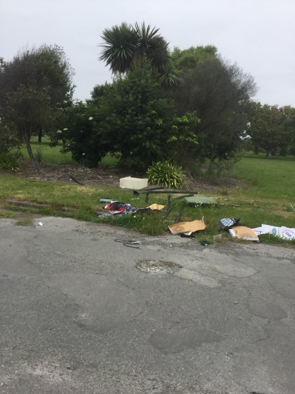The photograph attached to this rubbish/recycling report