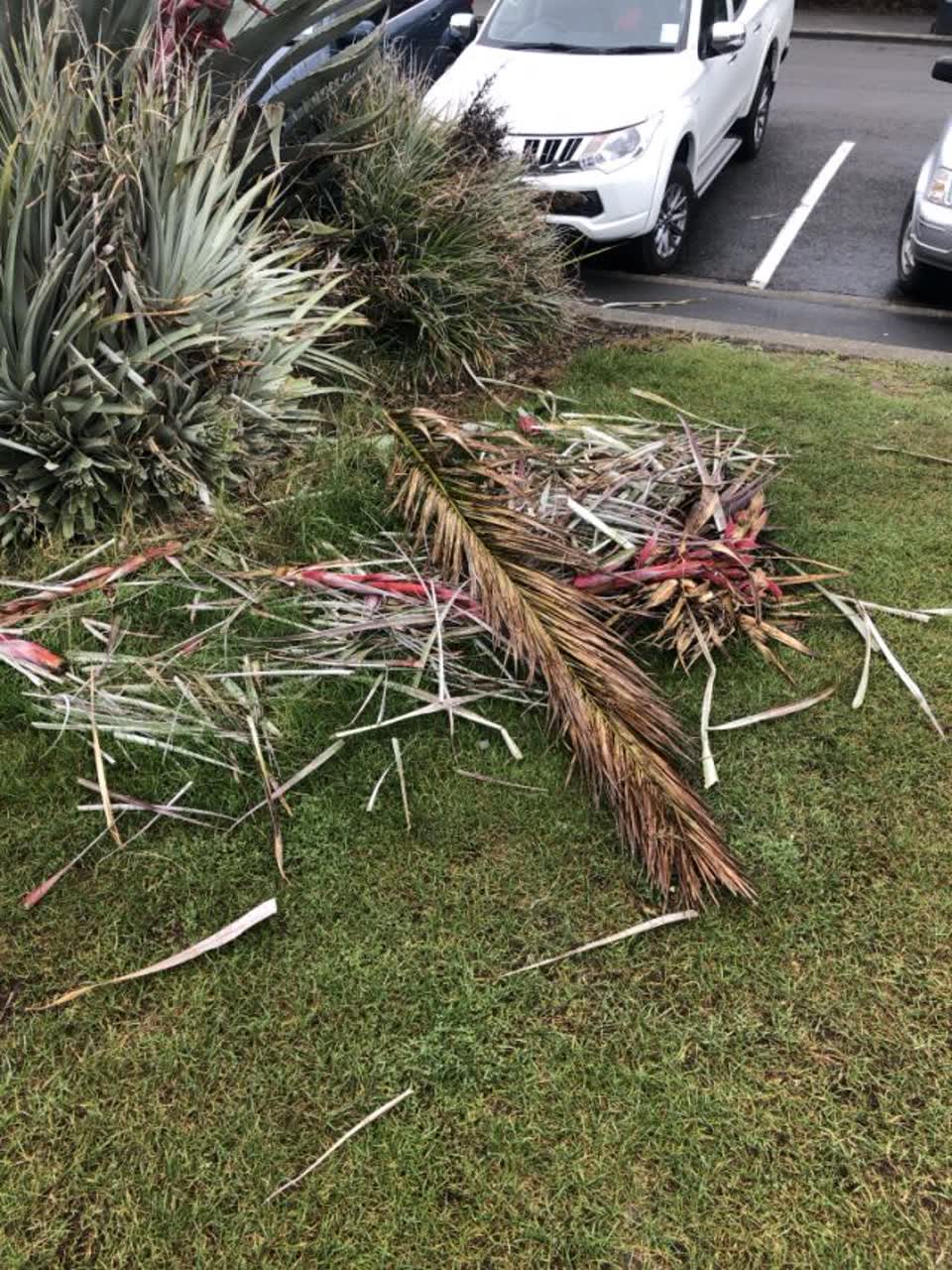 The photograph attached to this parks report