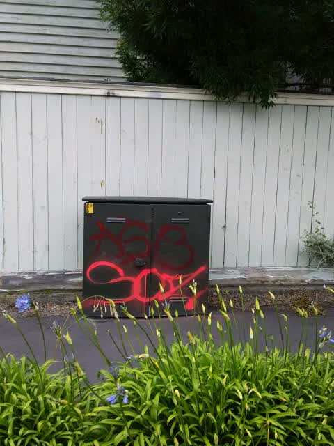 Graffiti, a report photo