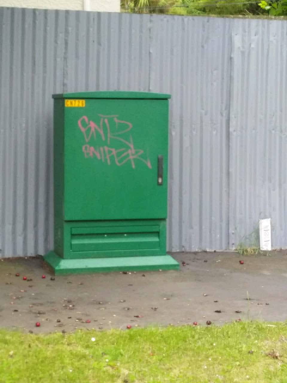 The photograph attached to this graffiti report