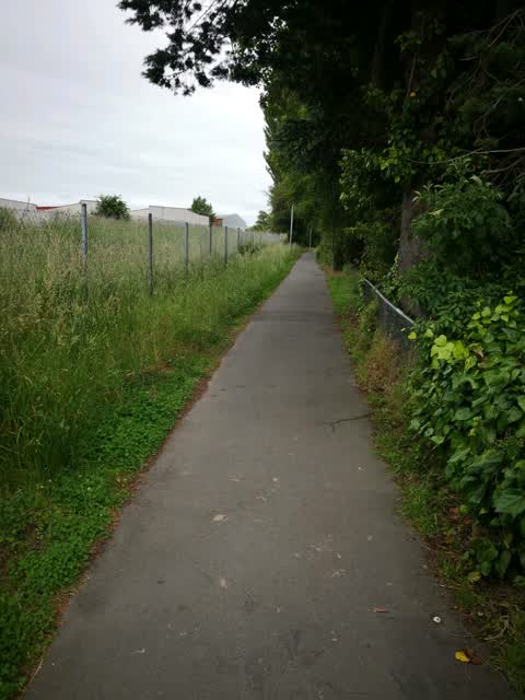 Roading/Streets, a report photo