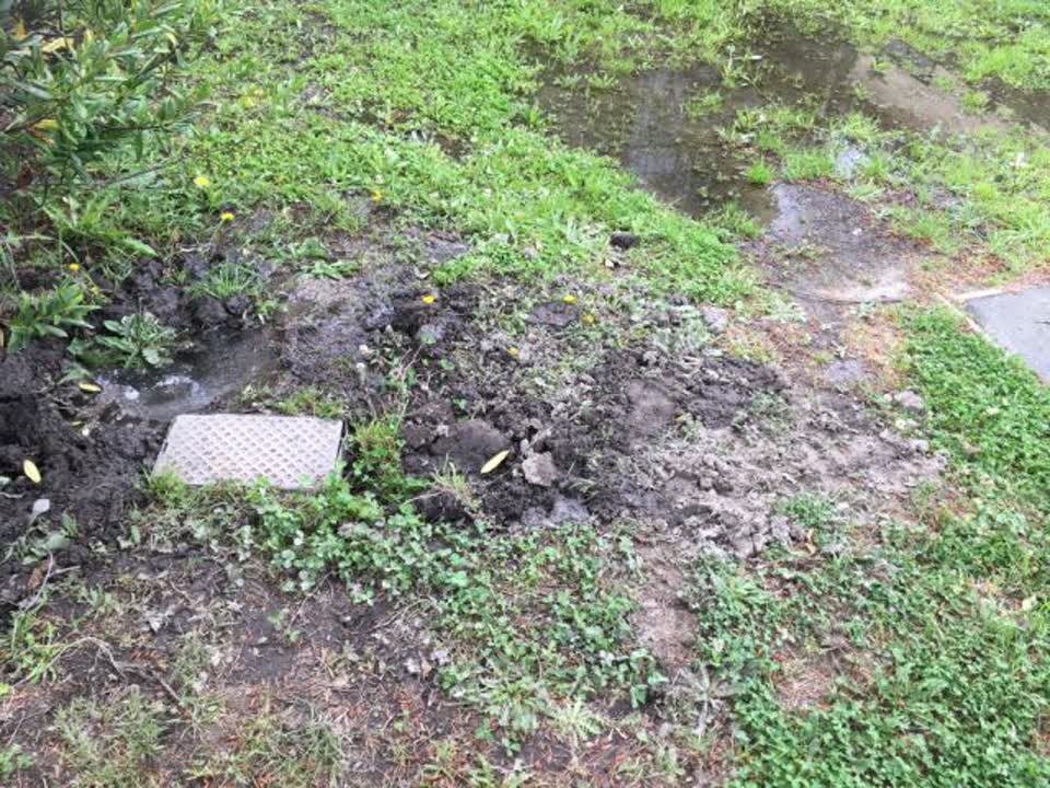 The photograph attached to this wastewater/stormwater report