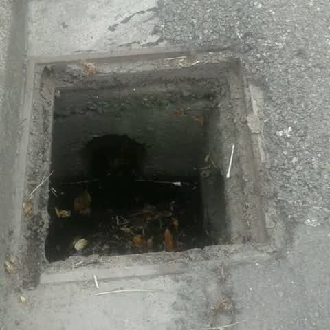 Wastewater/Stormwater, a report photo