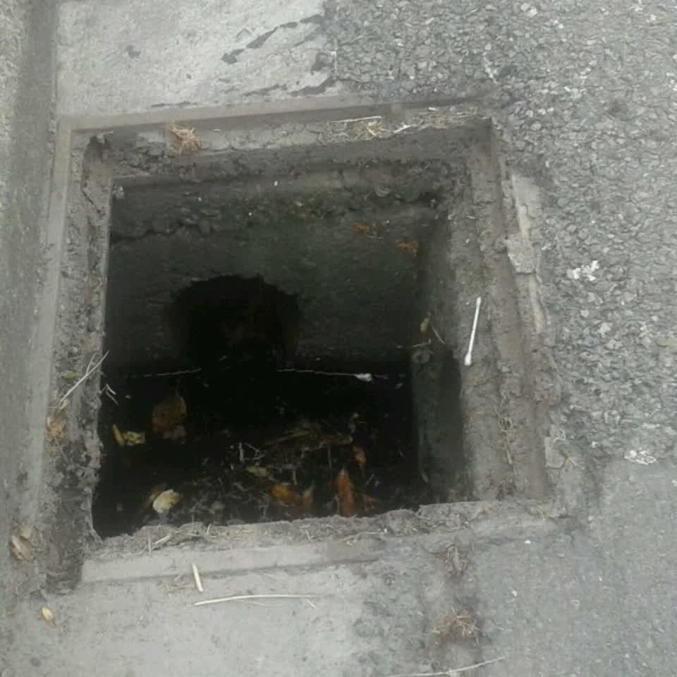 The photograph attached to this wastewater/stormwater report