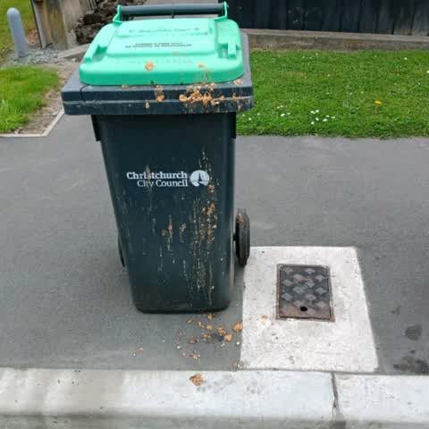 Rubbish/Recycling, a report photo