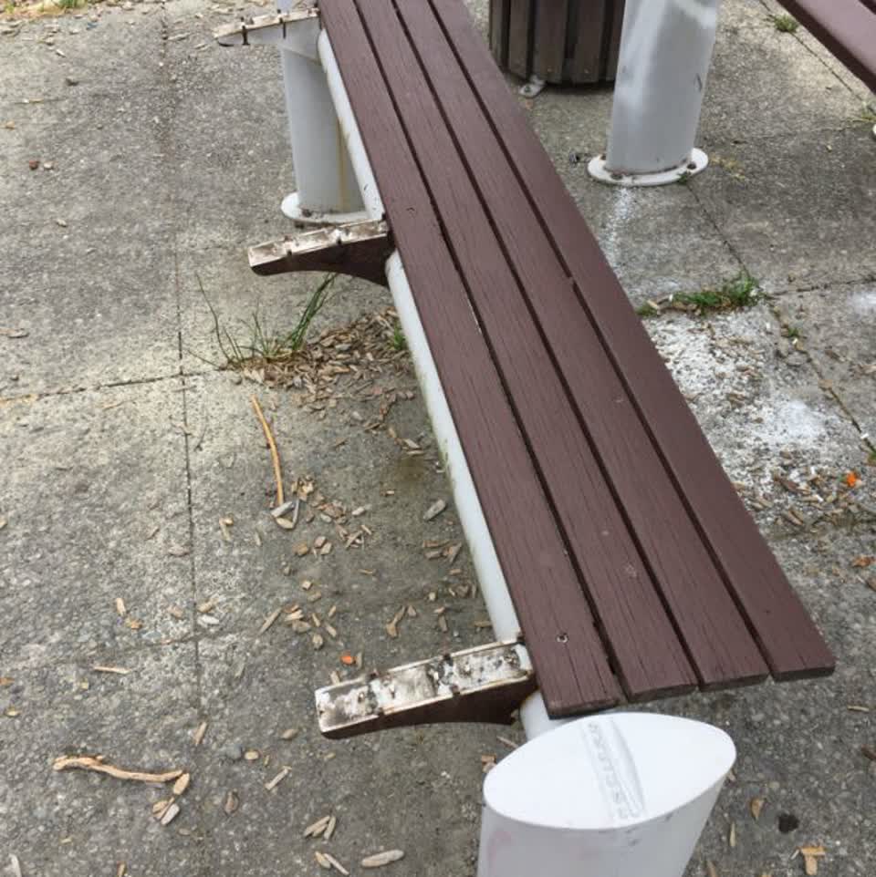 The photograph attached to this parks report