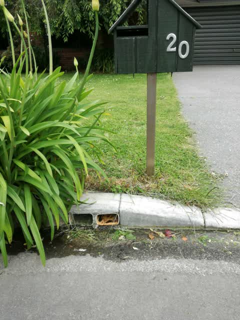 Wastewater/Stormwater, a report photo