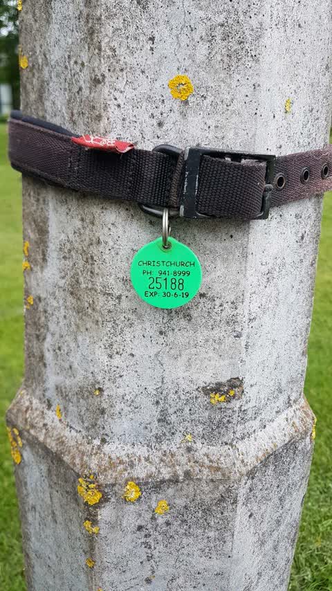 Parks — a report photo