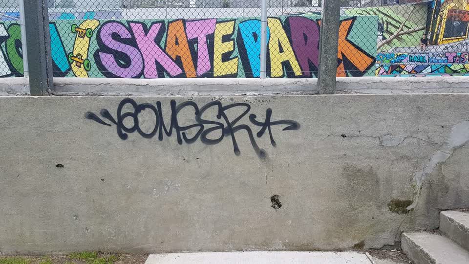 The photograph attached to this graffiti report