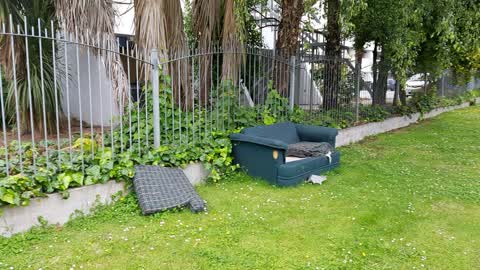 Rubbish/Recycling, a report photo