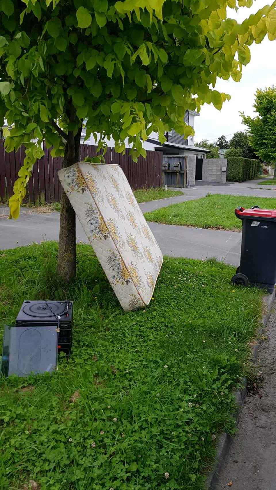 The photograph attached to this rubbish/recycling report