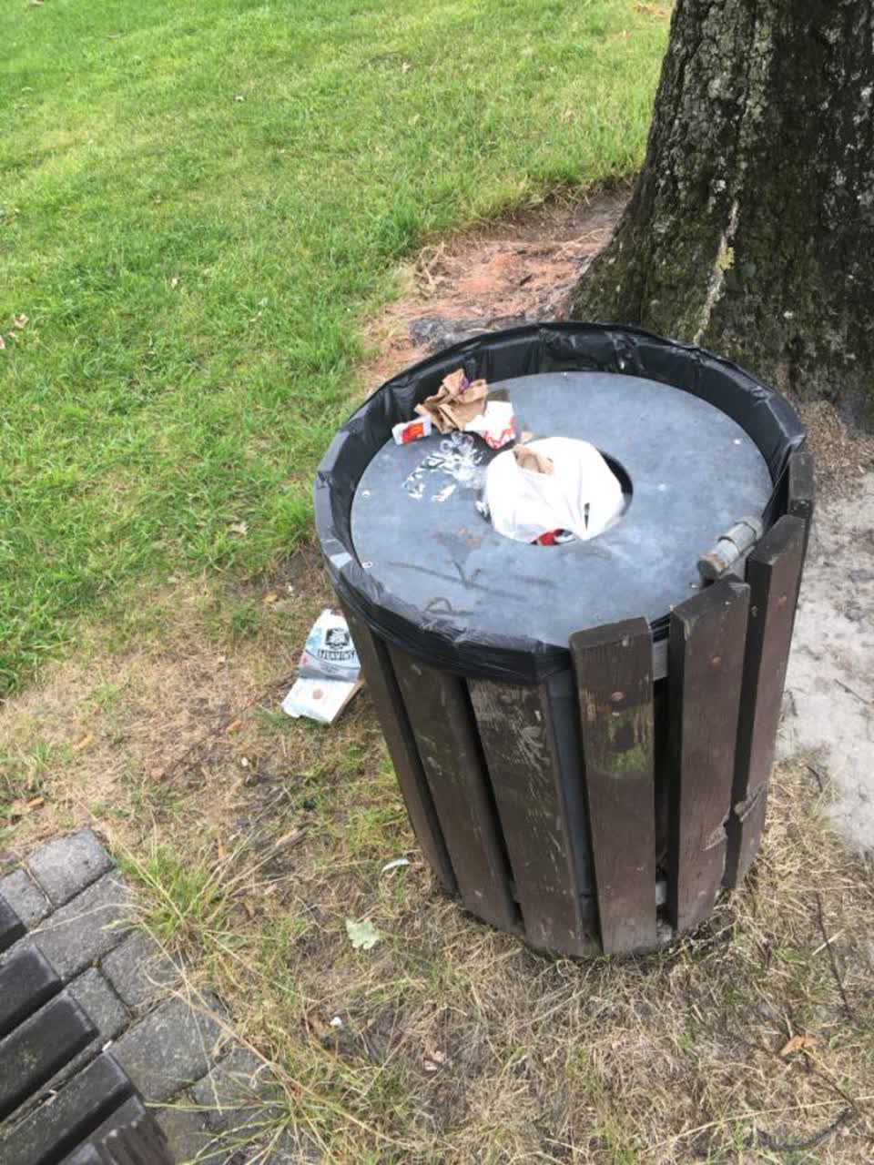 The photograph attached to this rubbish/recycling report