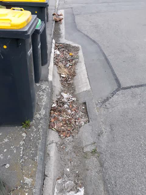 Rubbish/Recycling, a report photo