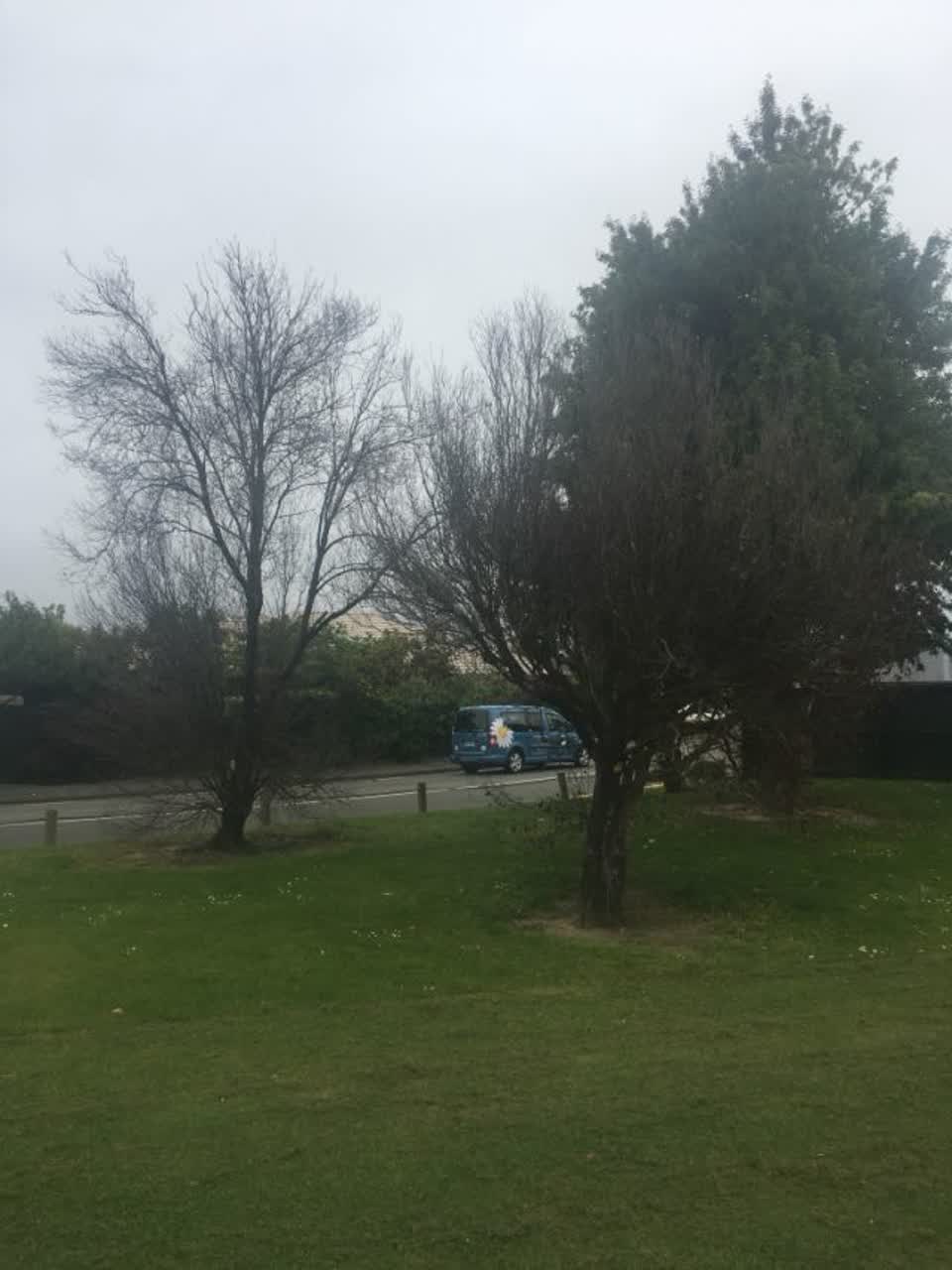 The photograph attached to this parks report