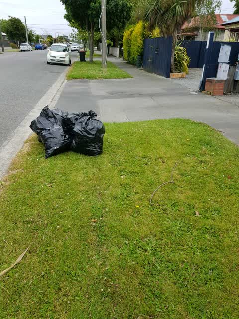Rubbish/Recycling, a report photo