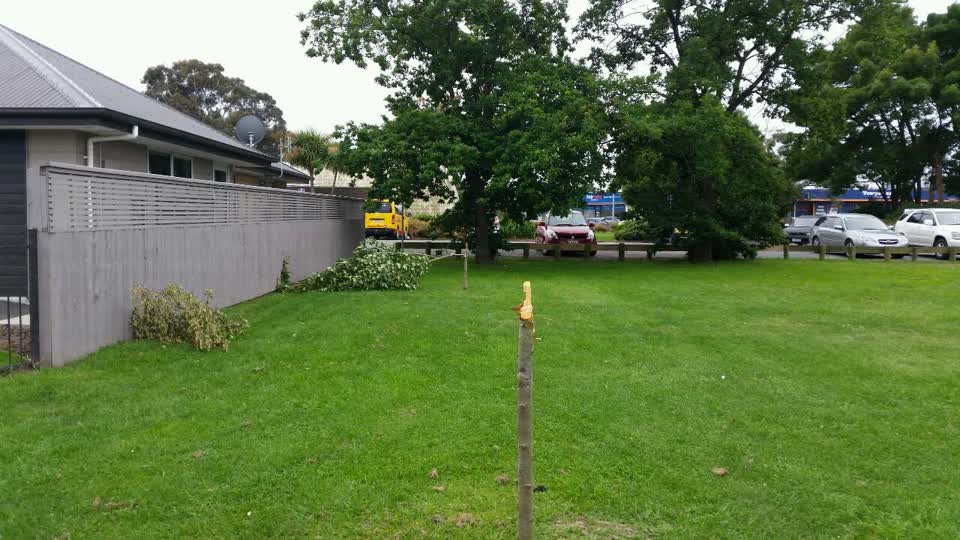 The photograph attached to this parks report