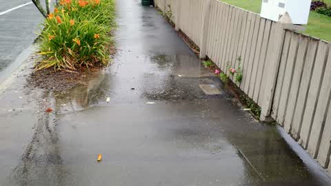 Water Supply, a report photo