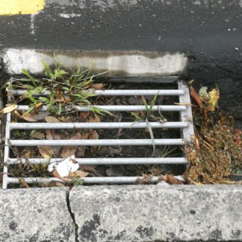 Wastewater/Stormwater, a report photo