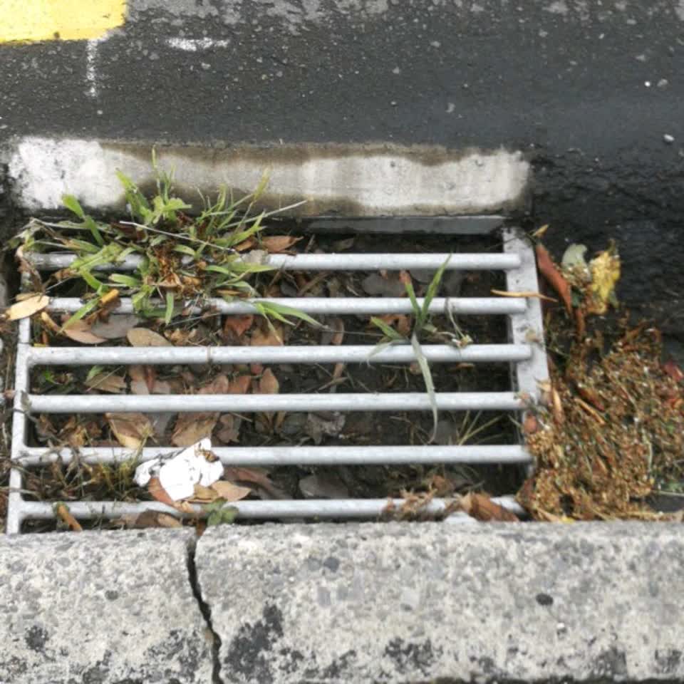 The photograph attached to this wastewater/stormwater report