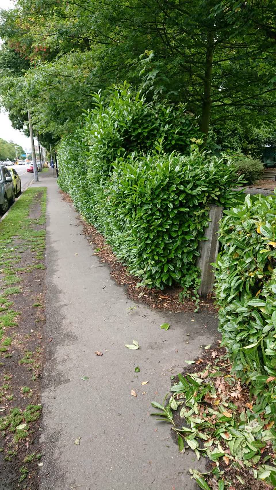 The photograph attached to this roading/streets report