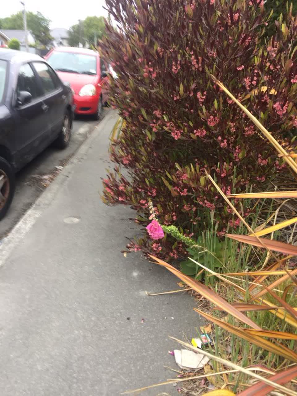 The photograph attached to this roading/streets report