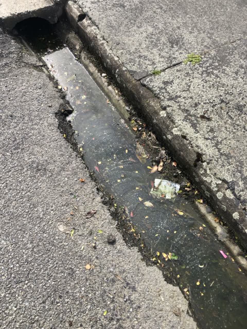 The photograph attached to this roading/streets report