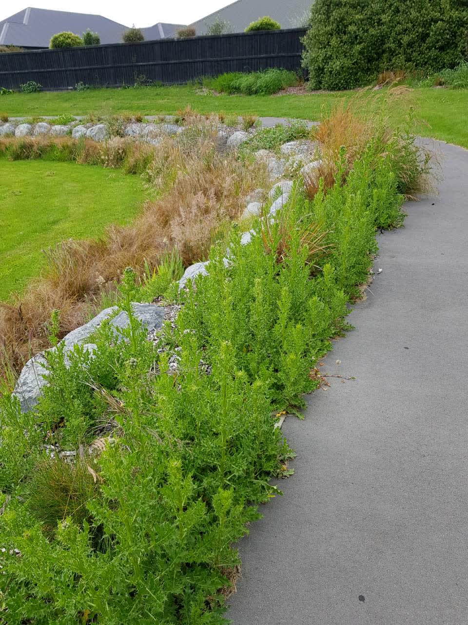 The photograph attached to this parks report