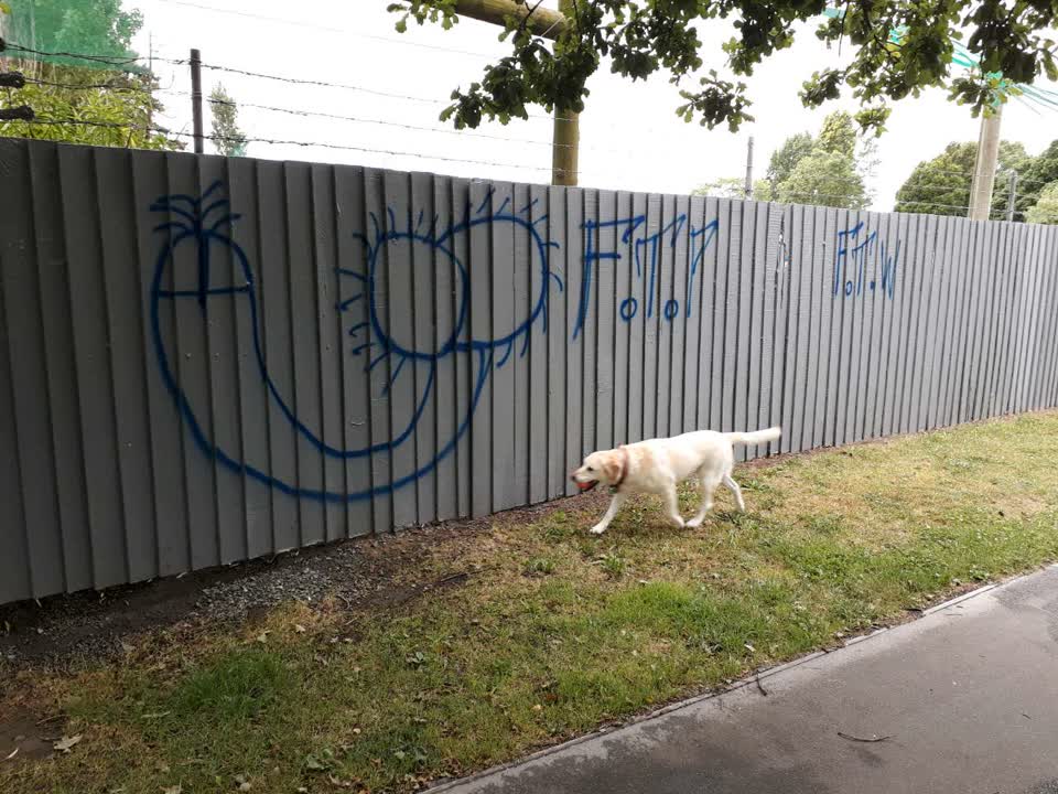 The photograph attached to this graffiti report