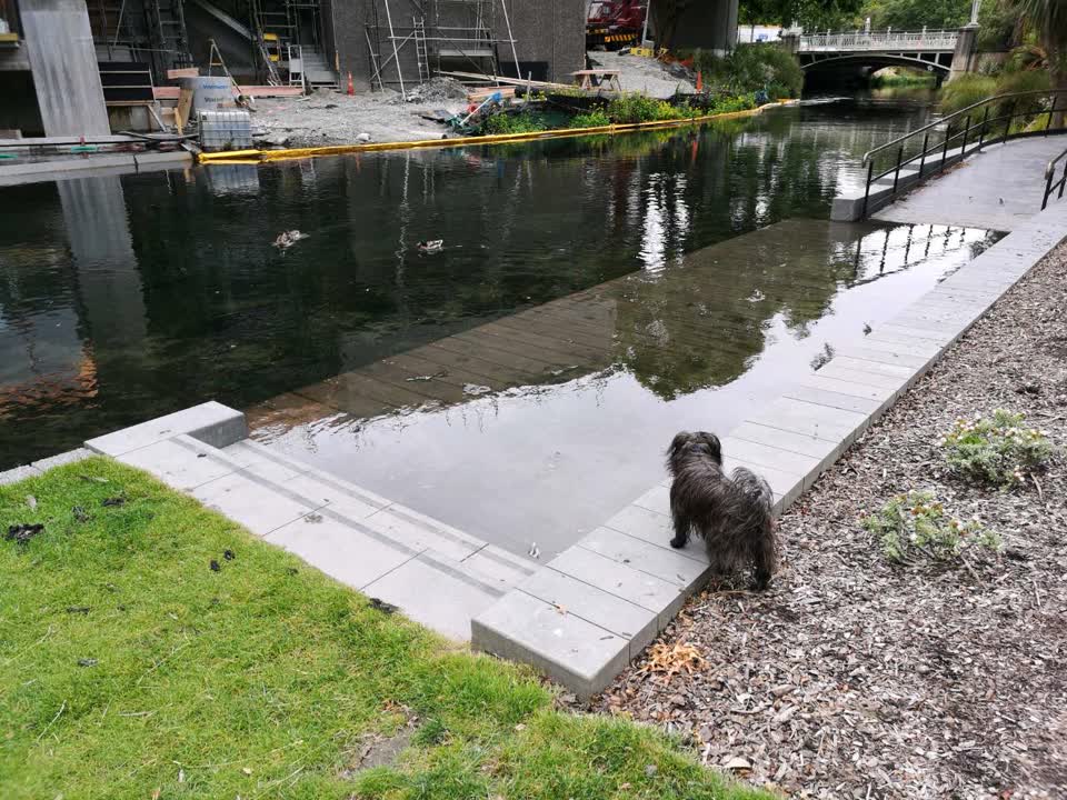 The photograph attached to this flooding report