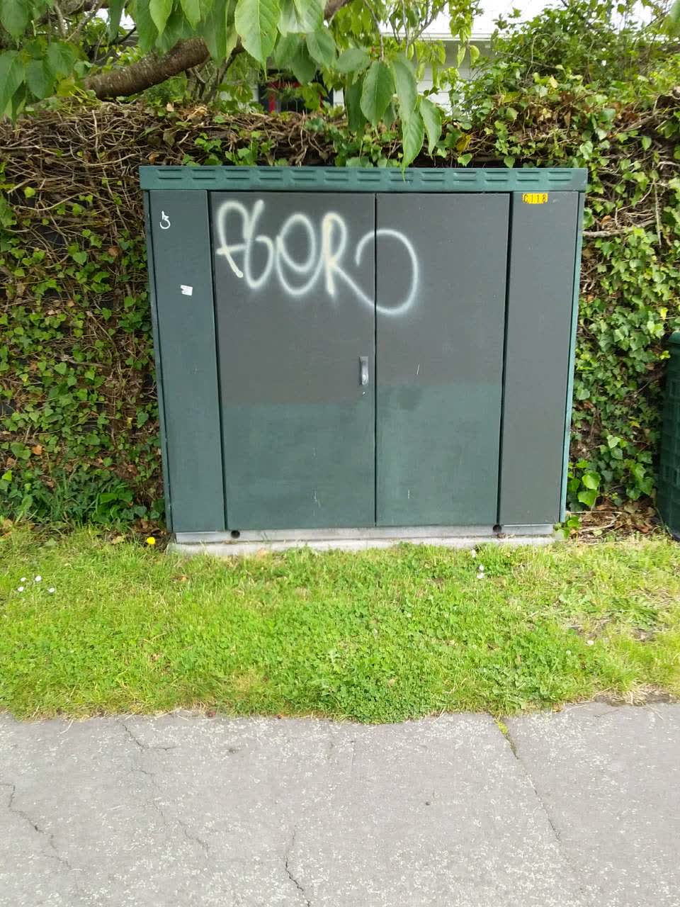 The photograph attached to this graffiti report