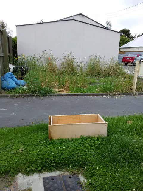 Rubbish/Recycling — a report photo