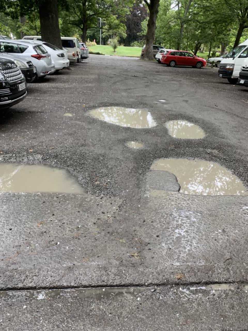 The photograph attached to this parks report