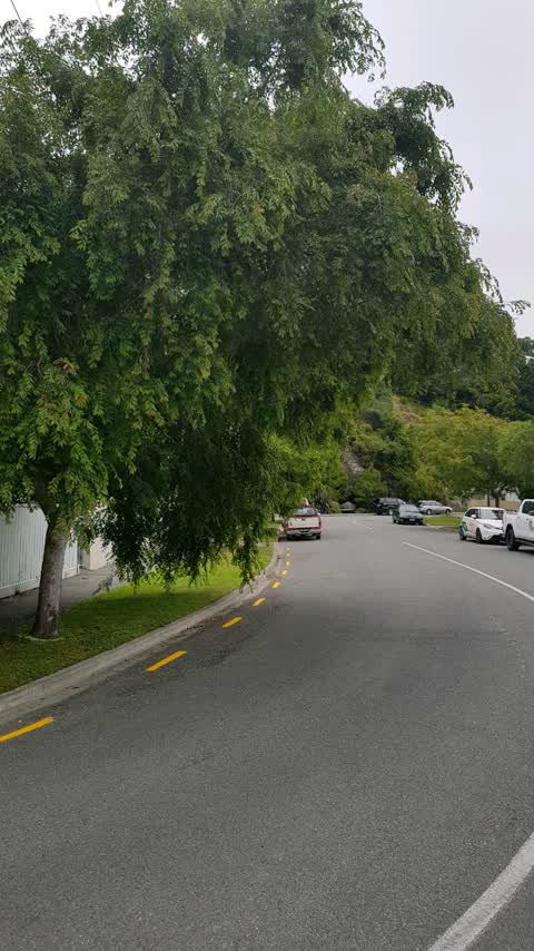 Roading/Streets, a report photo