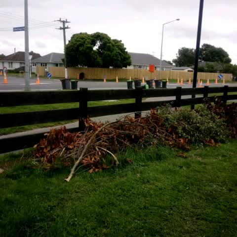 Parks, a report photo