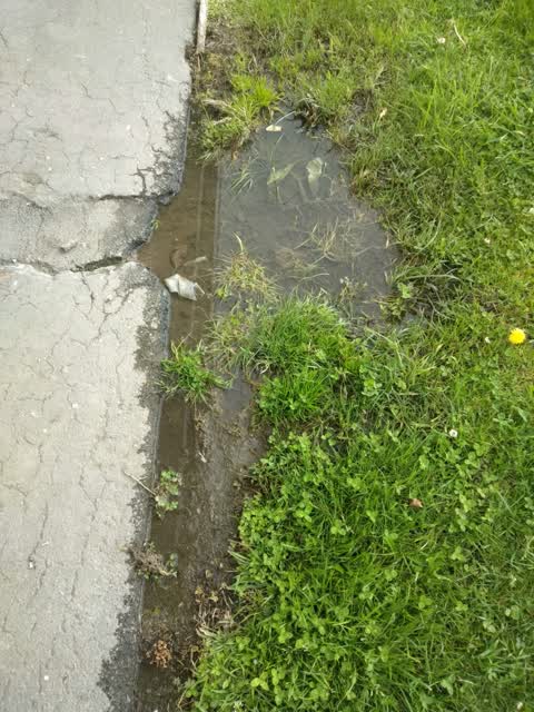 Flooding, a report photo