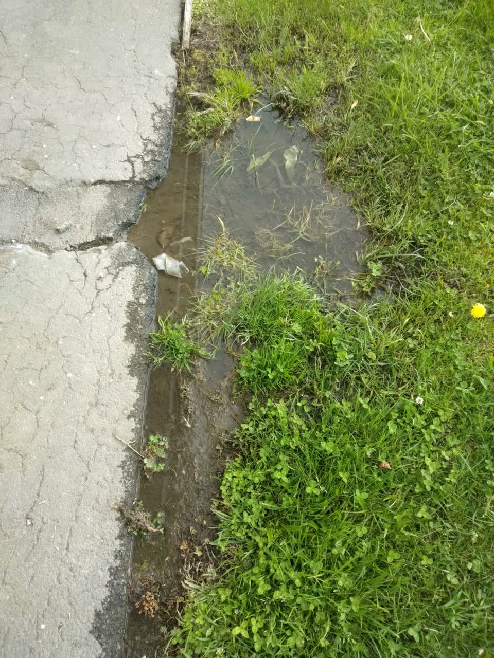 The photograph attached to this flooding report