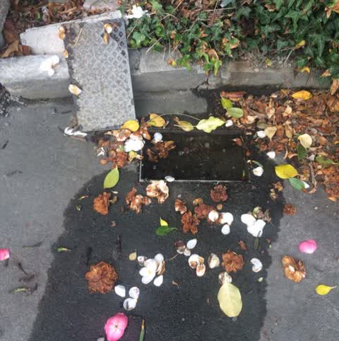 Water Supply, a report photo