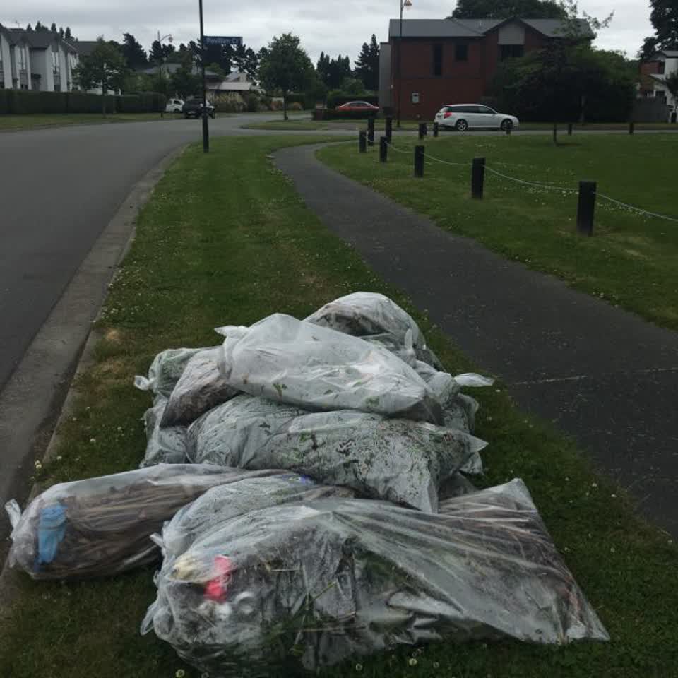 The photograph attached to this rubbish/recycling report