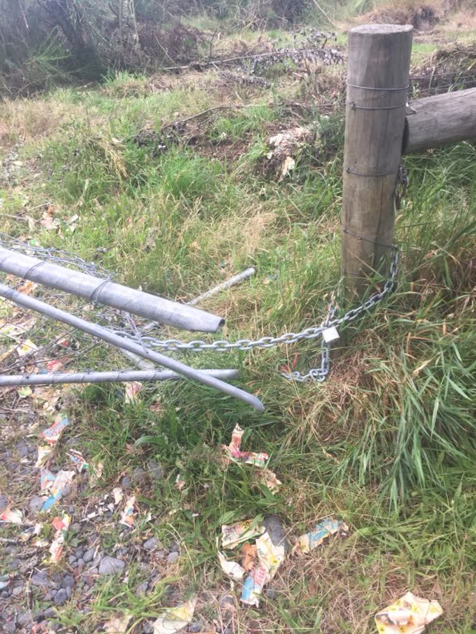 The photograph attached to this parks report