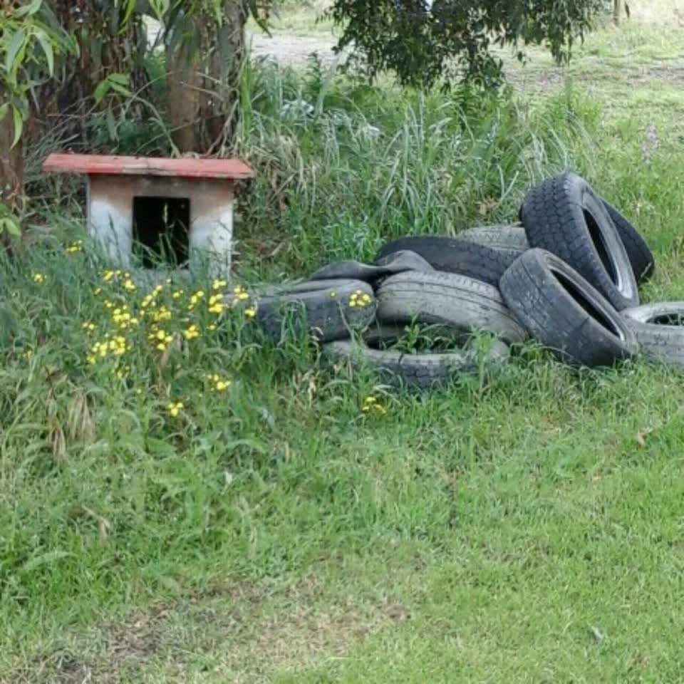 The photograph attached to this rubbish/recycling report