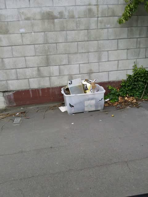 Rubbish/Recycling, a report photo