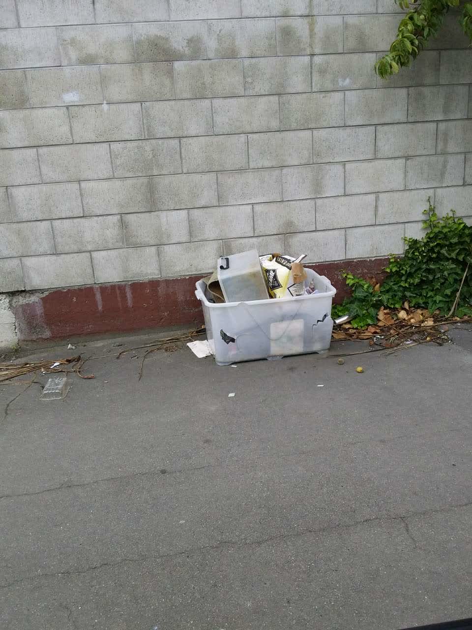 The photograph attached to this rubbish/recycling report