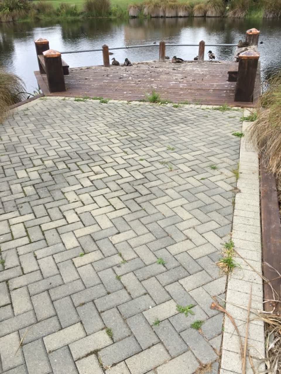 The photograph attached to this parks report