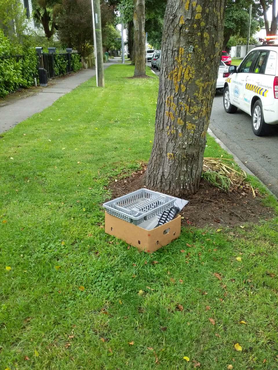 The photograph attached to this rubbish/recycling report