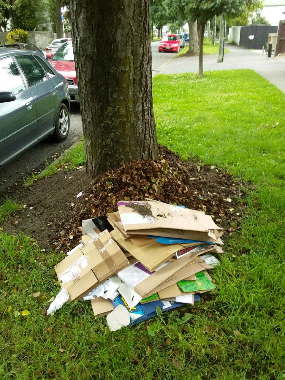 The photograph attached to this rubbish/recycling report