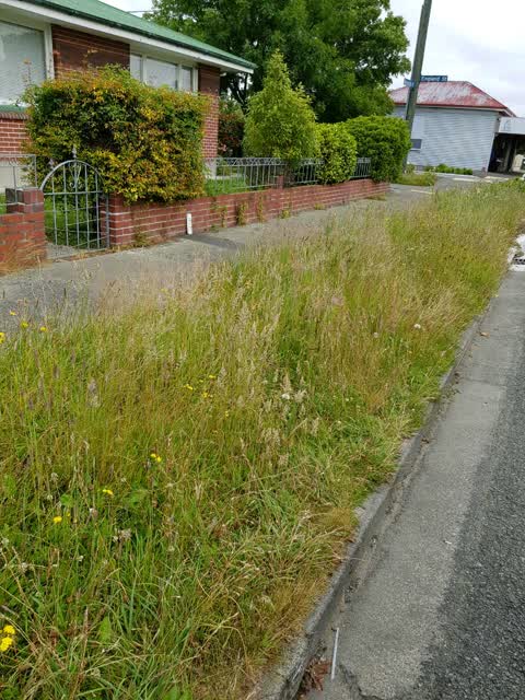 Roading/Streets, a report photo
