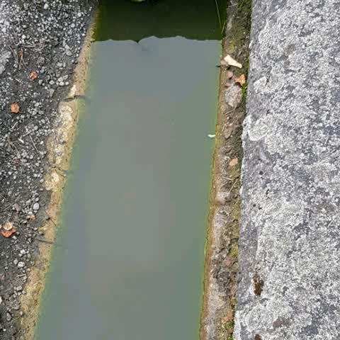 Wastewater/Stormwater, a report photo