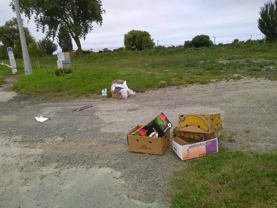 The photograph attached to this rubbish/recycling report